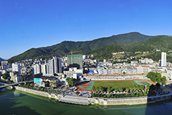 ?？稻W(wǎng)站建設(shè)