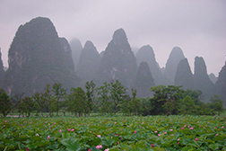 鐘山網(wǎng)站建設