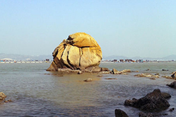 饒平網(wǎng)站建設