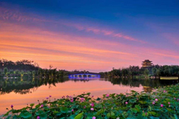 東風網(wǎng)站建設(shè)