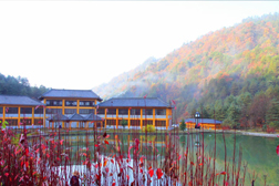 寧陜網(wǎng)站建設