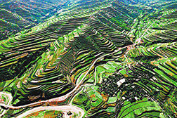 平?jīng)鼍W(wǎng)站建設