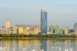 三門峽網(wǎng)站建設