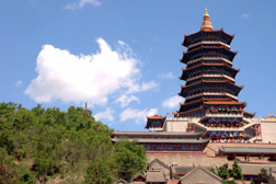 雙城網(wǎng)站建設