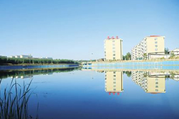 屯留網(wǎng)站建設
