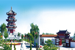 宜君網(wǎng)站建設