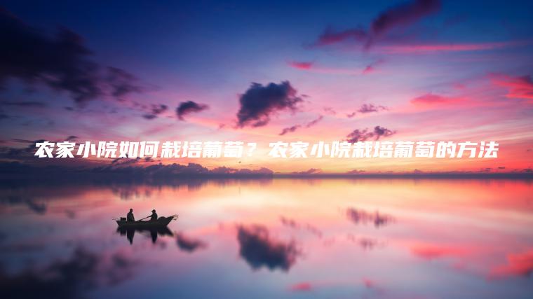 農(nóng)家小院如何栽培葡萄？農(nóng)家小院栽培葡萄的方法