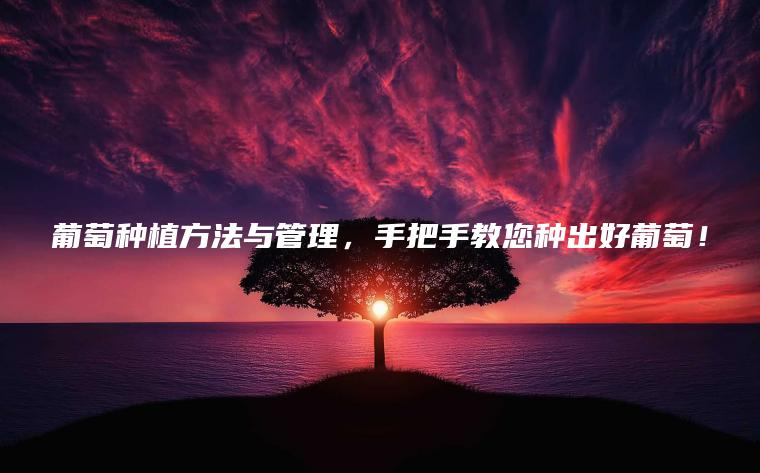 葡萄種植方法與管理，手把手教您種出好葡萄！