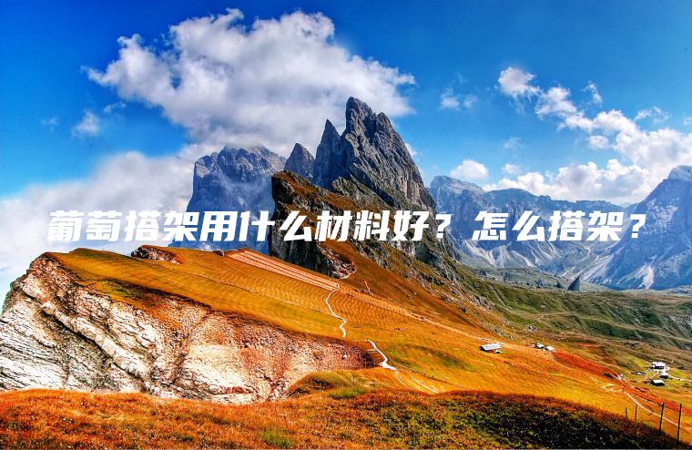 葡萄搭架用什么材料好？怎么搭架？