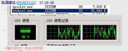 【已解決】剛開的VPS，CPU跑很高