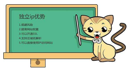 虛擬主機(jī)有獨(dú)立IP嗎？