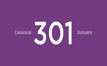 canonical、301、Domains