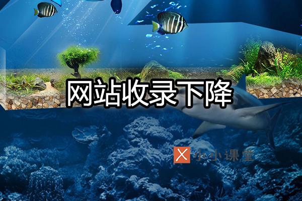 收錄量驟降的原因有哪些？這八點(diǎn)需要注意 怎么網(wǎng)站改版