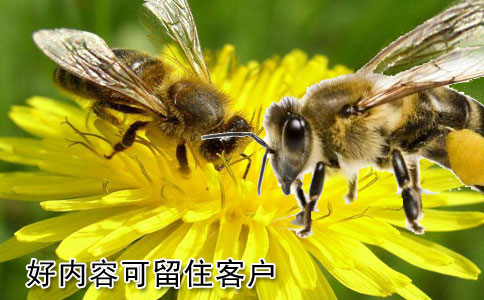 好的網(wǎng)站建設(shè)內(nèi)容可留住客戶嗎？