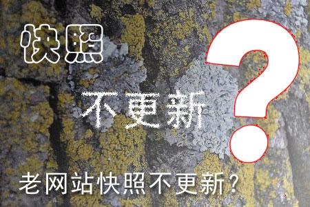 哪些因素造成老網(wǎng)站快照不更新？