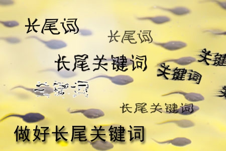 做網(wǎng)站怎樣做好長尾關(guān)鍵詞設(shè)置？