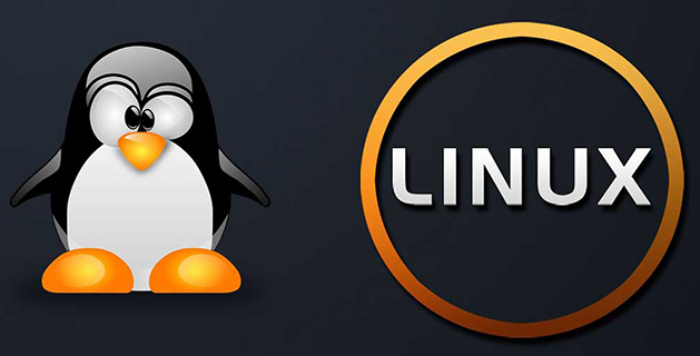 linux怎么ping，LinuxPing的步驟講解