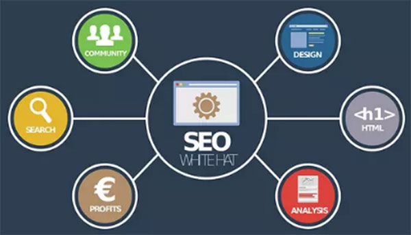 SEO、優(yōu)化、網(wǎng)站優(yōu)化