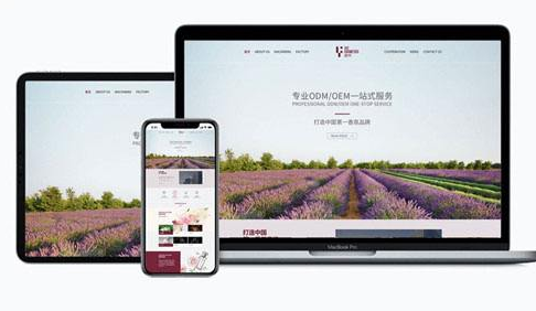 網(wǎng)站安全包括哪些內(nèi)容？