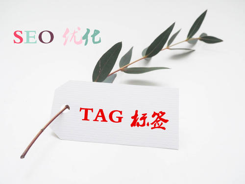 TAG標簽的使用對于SEO優(yōu)化的重要性是什么？